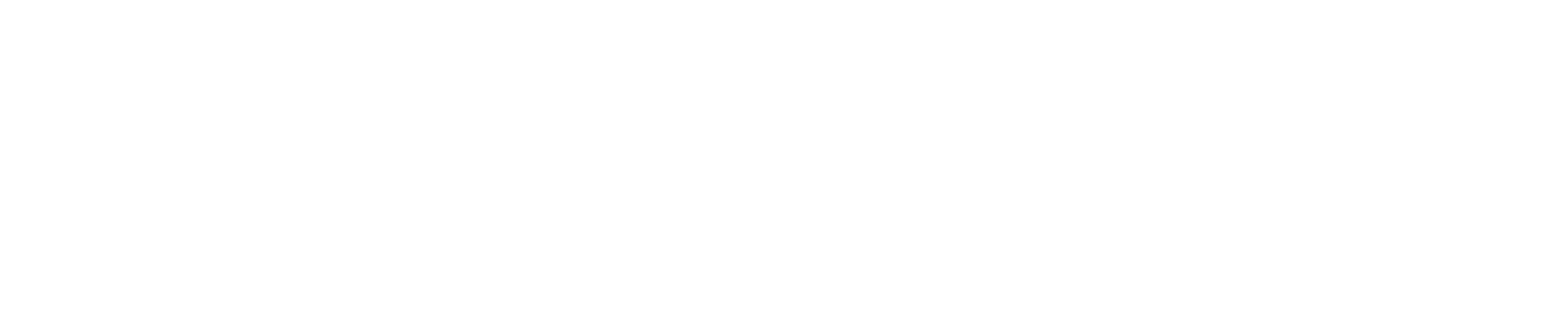 IBGadgetStore Logo